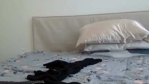 heatwavee online show from February 2, 2025, 8:08 pm