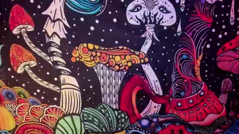   online show from February 26, 2025, 7:42 am