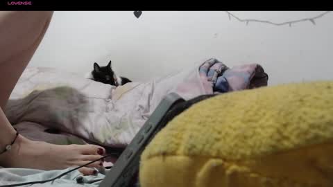 Snapshot of hecatedark122 chatting on December 4, 2025, 1:48 am sofia online show from December 4, 2025, 1:48 am