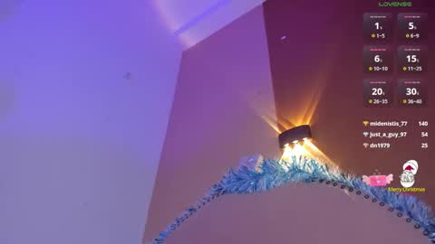 Snapshot of heicel_ chatting on December 24, 2024, 4:33 am Heicel online show from December 24, 2024, 4:33 am