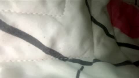 Snapshot of heidy05 chatting on March 23, 2026, 12:03 am heidy05 online show from March 23, 2026, 12:03 am