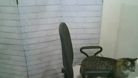 Helen online show from January 13, 2026, 5:24 am