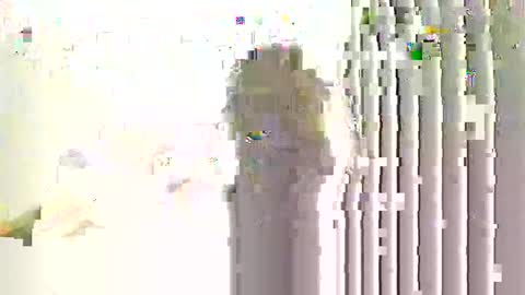 Snapshot of helloimhunny chatting on January 7, 2026, 2:36 am Hunnys Hive online show from January 7, 2026, 2:36 am