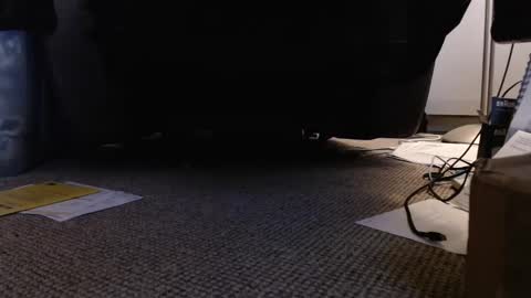 Snapshot of henryjxxx chatting on January 12, 2025, 4:18 pm henryjxxx online show from January 12, 2025, 4:18 pm