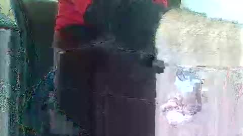 Snapshot of herbee510 chatting on December 20, 2025, 9:22 pm herbee510 online show from December 20, 2025, 9:22 pm