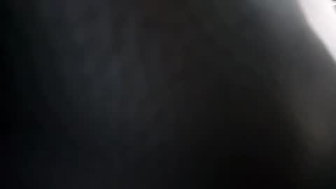 heydude56 online show from February 9, 2025, 9:49 pm