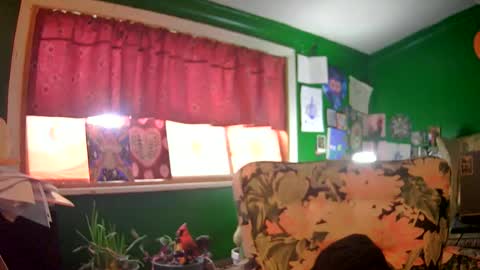 Snapshot of hippiedad333 chatting on June 16, 2026, 9:17 pm hippiedad333 online show from June 16, 2026, 9:17 pm