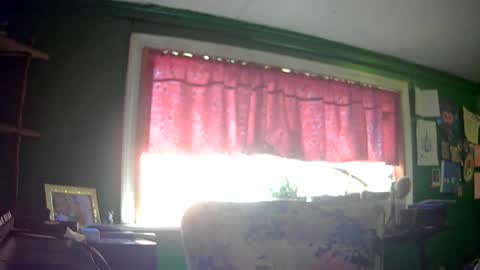 Snapshot of hippiedad333 chatting on July 14, 2026, 6:57 pm hippiedad333 online show from July 14, 2026, 6:57 pm