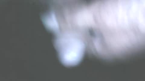 Snapshot of hofnung chatting on June 1, 2026, 11:39 pm hofnung online show from June 1, 2026, 11:39 pm