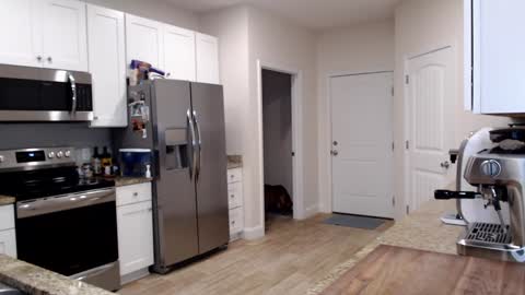 Holi Hurricane online show from September 24, 2025, 11:30 pm