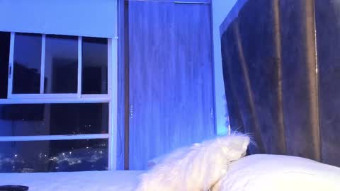 Snapshot of holly_29_m chatting on February 11, 2025, 3:29 am Mara online show from February 11, 2025, 3:29 am