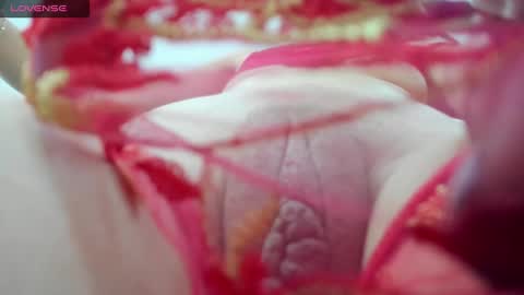 Snapshot of holly_little2 chatting on December 19, 2024, 10:21 pm Sophie online show from December 19, 2024, 10:21 pm