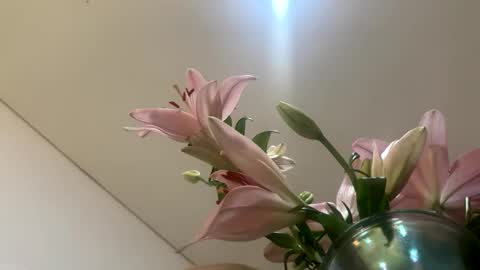 Snapshot of hollykoff chatting on January 12, 2026, 2:28 am space online show from January 12, 2026, 2:28 am