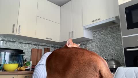 Snapshot of holydori chatting on February 10, 2025, 8:53 am dori not holy get my tg channel with link from description under last photo online show from February 10, 2025, 8:53 am