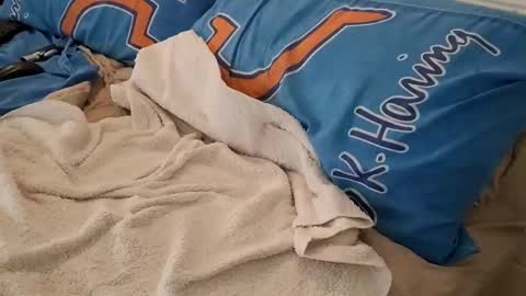 Homer online show from March 6, 2025, 2:41 am