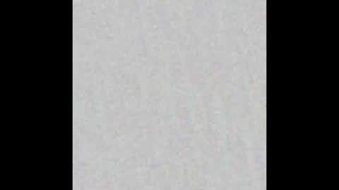 Elyn online show from February 17, 2025, 12:48 pm