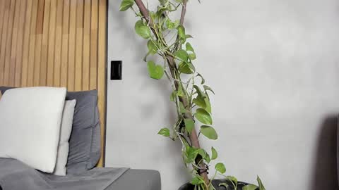 Snapshot of honeyhot69__ chatting on December 14, 2024, 11:07 am Sofia independent model online show from December 14, 2024, 11:07 am