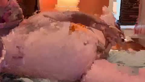 Snapshot of horndawglove chatting on January 6, 2025, 7:56 pm horndawglove online show from January 6, 2025, 7:56 pm