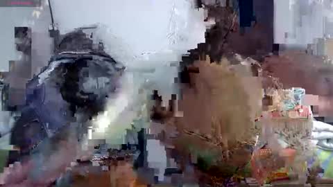 Snapshot of horny_and_daring chatting on June 6, 2026, 6:34 pm horny and daring online show from June 6, 2026, 6:34 pm