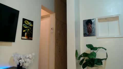 Snapshot of horny_princcess chatting on January 1, 2025, 9:17 am horny_princcess online show from January 1, 2025, 9:17 am