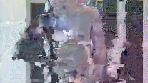 HornyGringo online show from November 22, 2025, 3:27 am