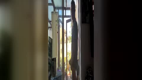 Snapshot of hornylondo chatting on July 6, 2026, 4:42 pm Hornylondon online show from July 6, 2026, 4:42 pm