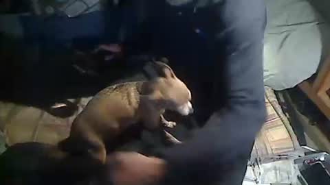 Snapshot of hornyscott666 chatting on March 4, 2026, 9:04 am hornyscott666 online show from March 4, 2026, 9:04 am