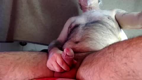 Snapshot of hornyswissman chatting on December 11, 2024, 2:54 pm hornyswissman online show from December 11, 2024, 2:54 pm