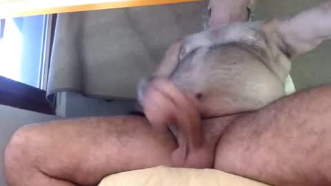 Snapshot of hornyswissman chatting on September 8, 2025, 5:01 pm hornyswissman online show from September 8, 2025, 5:01 pm