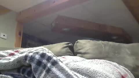 Hot and Horny online show from May 1, 2026, 8:46 pm