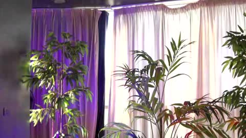 Snapshot of hotbustybabex chatting on September 21, 2025, 6:15 am Anais online show from September 21, 2025, 6:15 am