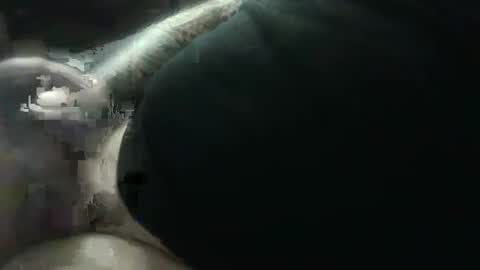 Snapshot of hotcream259 chatting on January 9, 2025, 3:04 am hotcream259 online show from January 9, 2025, 3:04 am