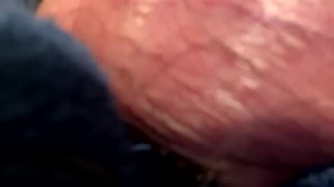 hotdog1124 online show from January 6, 2025, 1:09 am