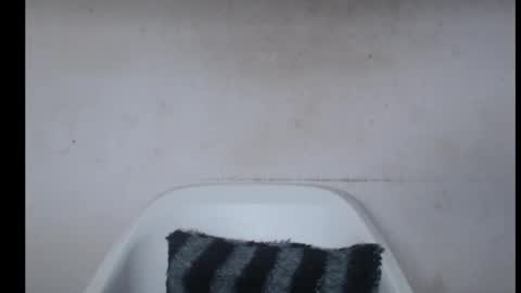 hotjessie0 online show from September 26, 2025, 5:44 am