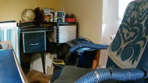 Snapshot of hotleopold chatting on August 5, 2026, 12:41 pm hotleopold online show from August 5, 2026, 12:41 pm