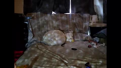 Snapshot of hotrox6942 chatting on September 24, 2025, 10:51 am hotrox6942 online show from September 24, 2025, 10:51 am