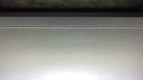 Snapshot of hotsexythighs chatting on February 5, 2025, 3:23 am Jack online show from February 5, 2025, 3:23 am