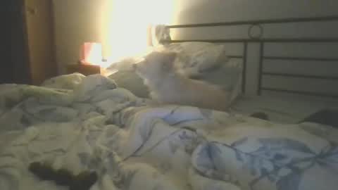 Snapshot of hottnready4u chatting on January 5, 2025, 1:26 pm Hottnready4u online show from January 5, 2025, 1:26 pm