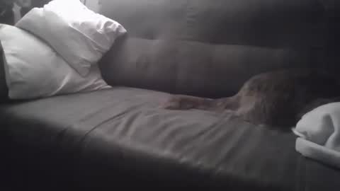 Snapshot of huguit026 chatting on February 4, 2025, 11:27 pm huguit026 online show from February 4, 2025, 11:27 pm