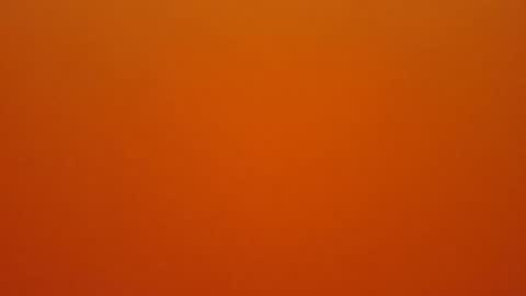 hundeleine online show from February 16, 2026, 10:44 am