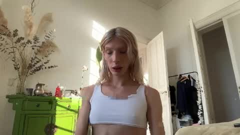 Snapshot of hung_angel_xxl chatting on April 29, 2026, 7:31 pm Alice help me reach 100 likes online show from April 29, 2026, 7:31 pm