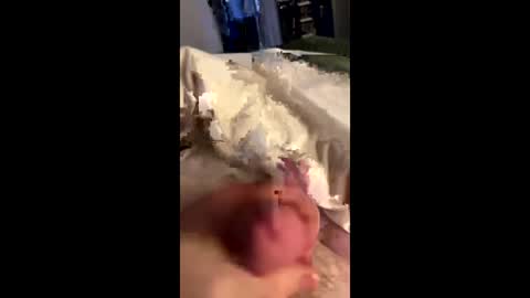 hungminer69 online show from May 28, 2026, 11:24 pm