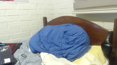 Rod online show from December 2, 2024, 3:15 am