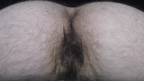 Snapshot of hunkytime chatting on December 27, 2024, 3:37 pm I AM NOT A DIRECTOR I AM THE BOSS KINGDADDYSIRSTR8ALPHAMASTER online show from December 27, 2024, 3:37 pm