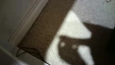 Hypeman online show from February 17, 2026, 7:49 am