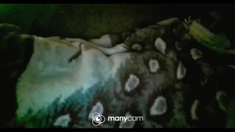 JP online show from February 5, 2025, 10:19 am