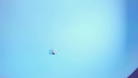 Snapshot of iam_naho chatting on May 13, 2026, 9:44 pm NAHO online show from May 13, 2026, 9:44 pm