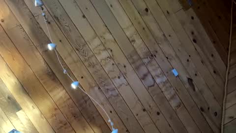 icanmakeyousquirt69 online show from March 17, 2026, 9:18 pm