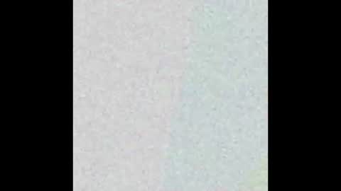 Snapshot of icdaryl2 chatting on February 8, 2025, 4:03 am ICDeez online show from February 8, 2025, 4:03 am