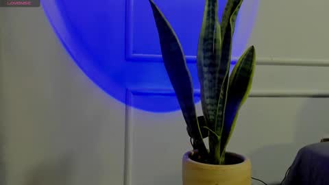 Snapshot of ice_princess__ chatting on October 2, 2025, 4:41 am Crystall online show from October 2, 2025, 4:41 am